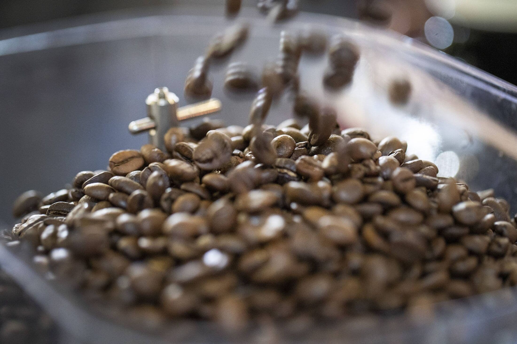 DutchBeans
