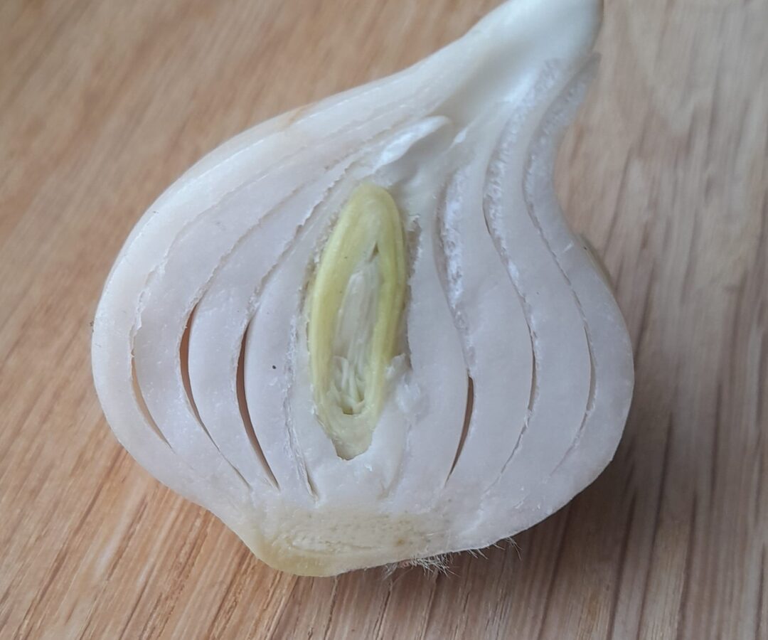 Een doorgesneden bol uit het blog Werk aan de winkel