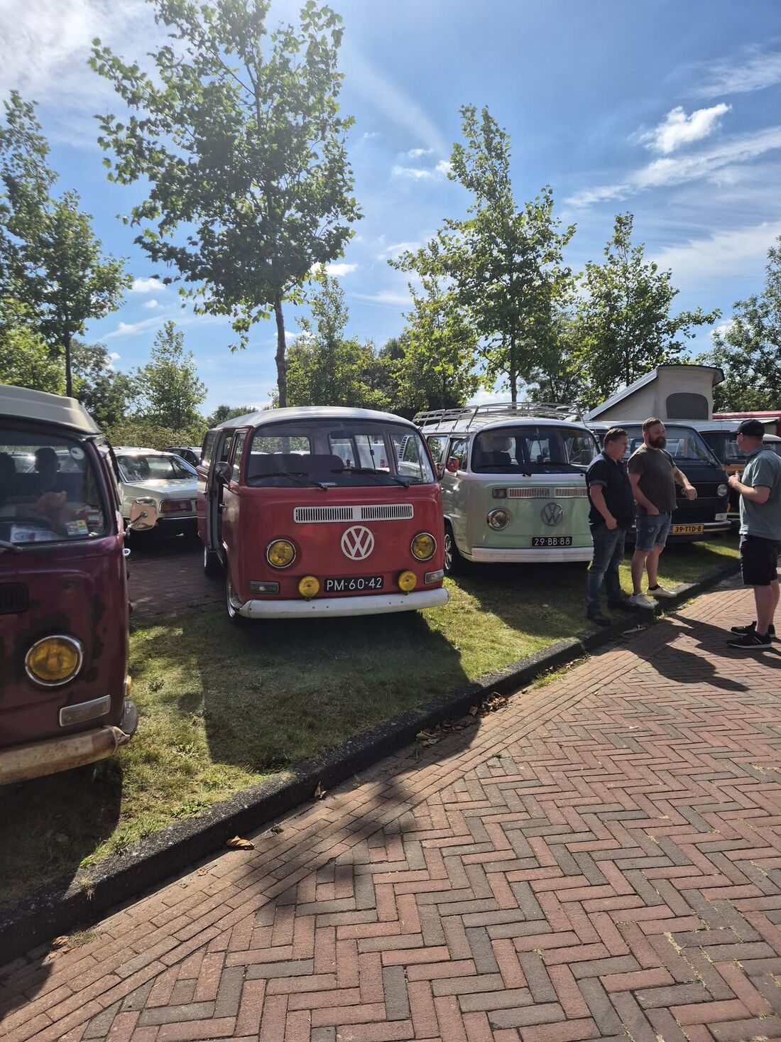 Volkswagenbusjes in de rij
